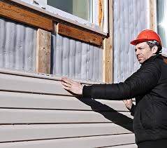 Best Custom Siding Design  in Cloverdale, IN